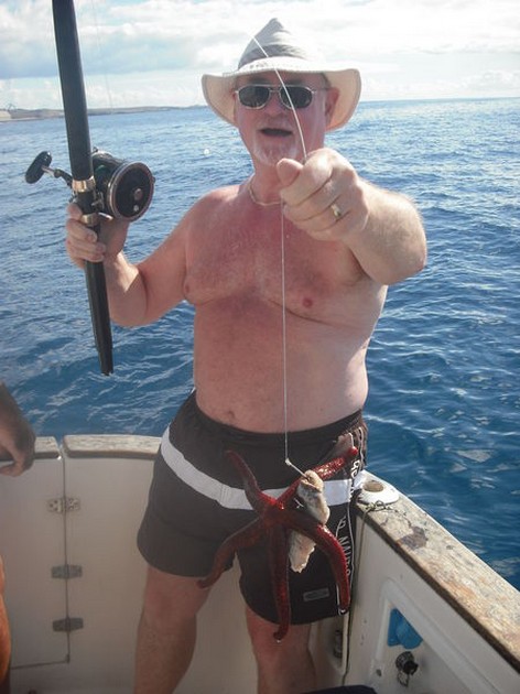 sea star Cavalier & Blue Marlin Sport Fishing Gran Canaria