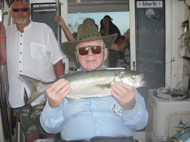 king fish Cavalier & Blue Marlin Sport Fishing Gran Canaria