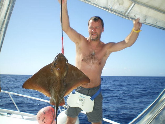 eagle ray Cavalier & Blue Marlin Sport Fishing Gran Canaria