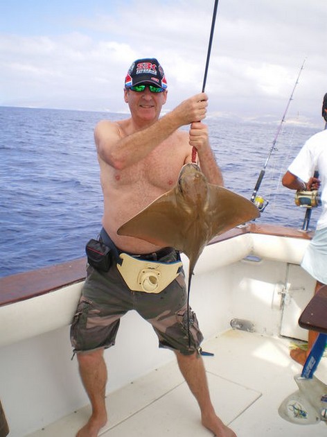 eagle ray Cavalier & Blue Marlin Sport Fishing Gran Canaria