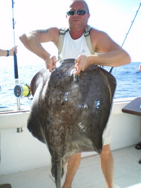 12/11 Roughtail Stingray Cavalier & Blue Marlin Sport Fishing Gran Canaria