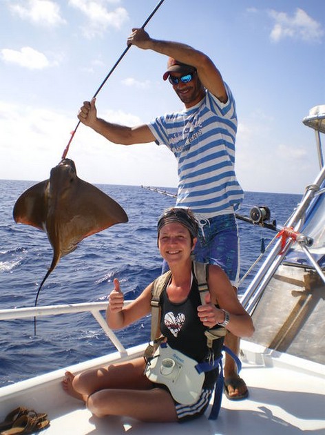 eagle ray Cavalier & Blue Marlin Sport Fishing Gran Canaria