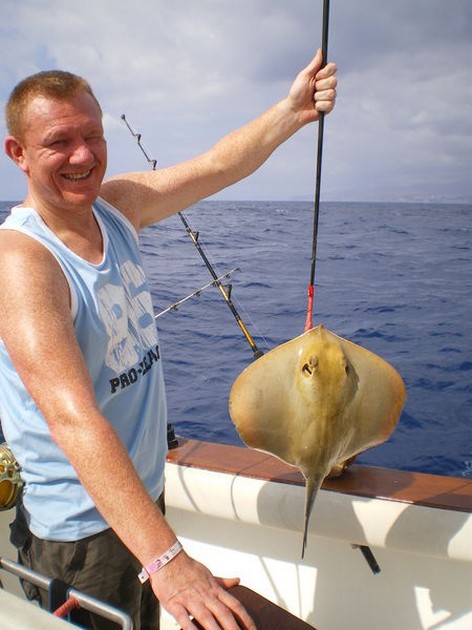 common stingray Cavalier & Blue Marlin Sport Fishing Gran Canaria