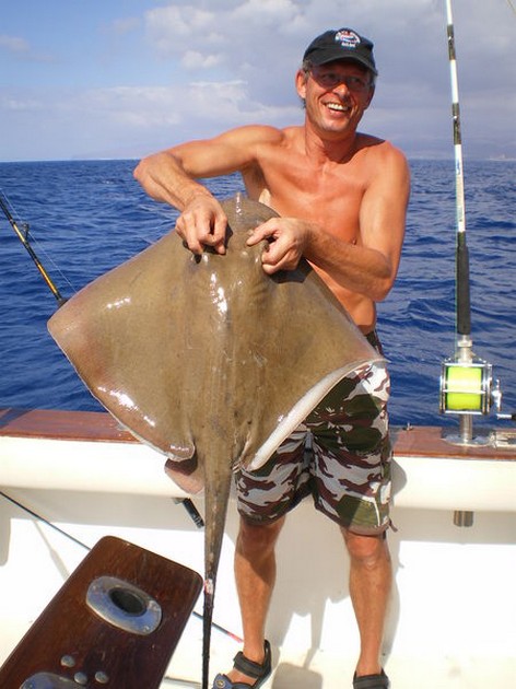 common stingray Cavalier & Blue Marlin Sport Fishing Gran Canaria