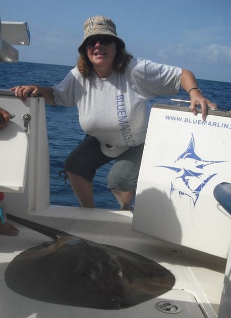 round stingray Cavalier & Blue Marlin Sport Fishing Gran Canaria