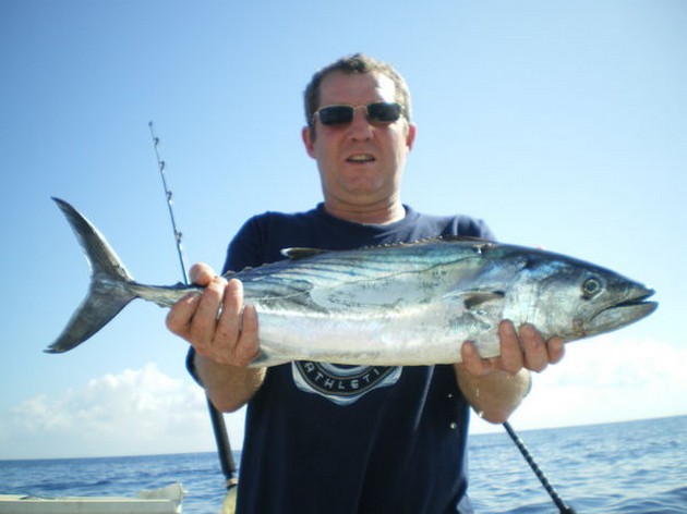 Atlantic Bonito Cavalier & Blue Marlin Sport Fishing Gran Canaria