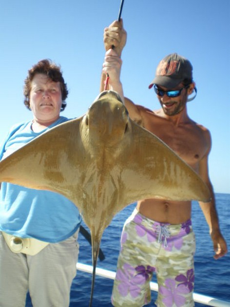 eagle ray Cavalier & Blue Marlin Sport Fishing Gran Canaria