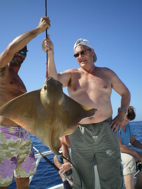 eagle ray Cavalier & Blue Marlin Sport Fishing Gran Canaria