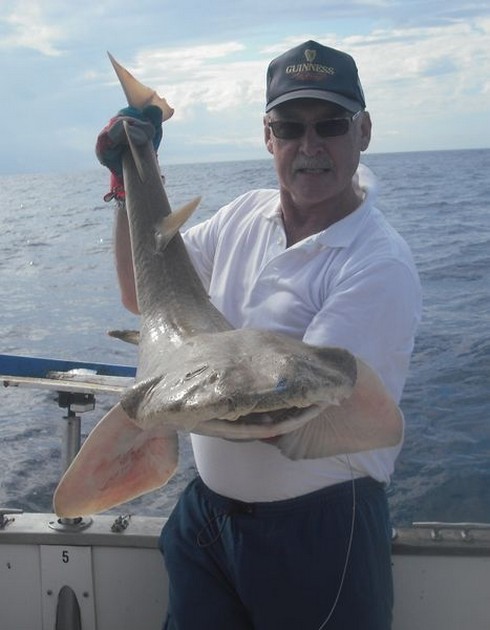 17/11 angel shark Cavalier & Blue Marlin Sport Fishing Gran Canaria