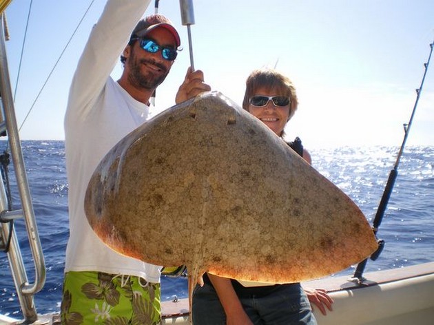 18/11 butterfly ray Cavalier & Blue Marlin Sport Fishing Gran Canaria