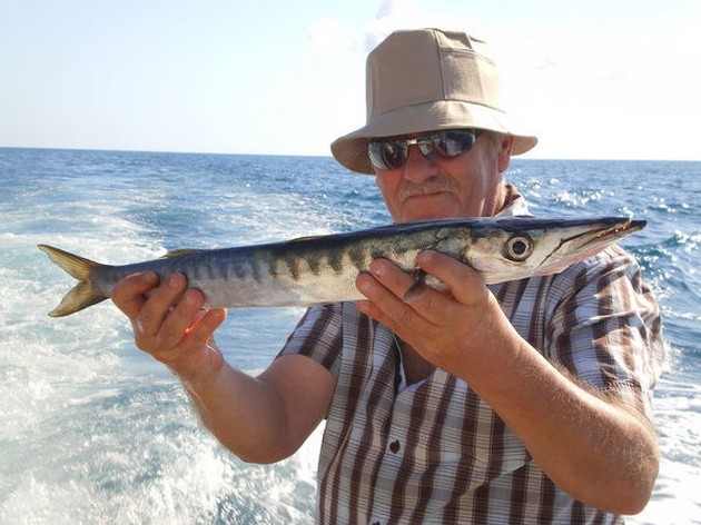 baracuda Cavalier & Blue Marlin Sport Fishing Gran Canaria