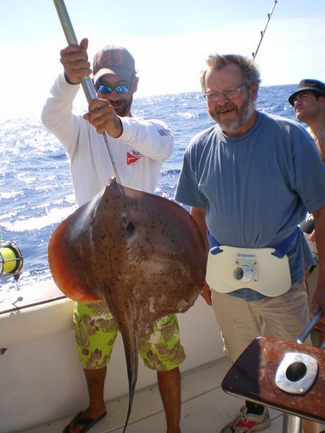 roughtail stingray Cavalier & Blue Marlin Sport Fishing Gran Canaria