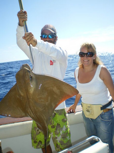 eagle ray Cavalier & Blue Marlin Sport Fishing Gran Canaria
