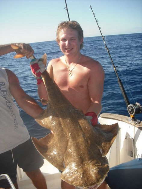 19/11 angelshark Cavalier & Blue Marlin Sport Fishing Gran Canaria