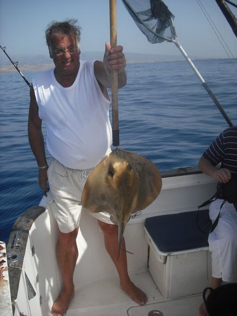 common stingray Cavalier & Blue Marlin Sport Fishing Gran Canaria