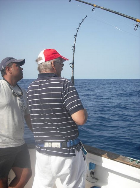 hooked up Cavalier & Blue Marlin Sport Fishing Gran Canaria
