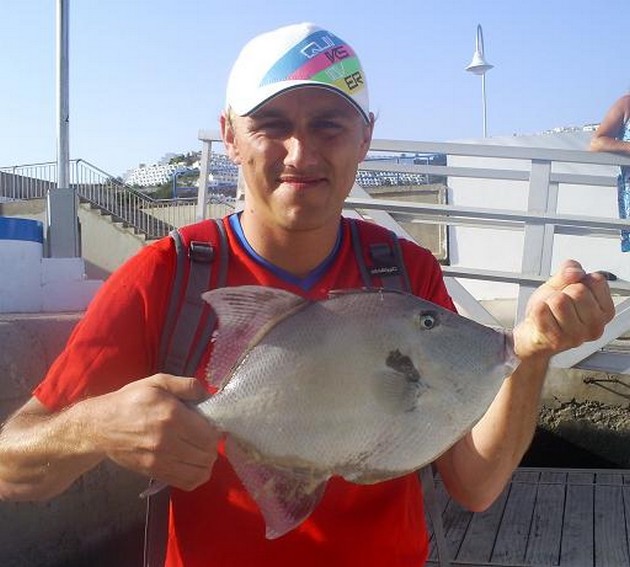 trigger fish Cavalier & Blue Marlin Sport Fishing Gran Canaria