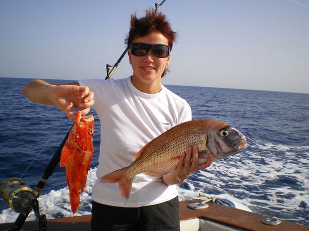 scorpion fish - red snapper Cavalier & Blue Marlin Sport Fishing Gran Canaria