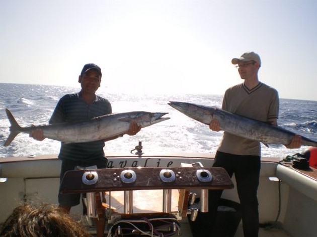25/11 Wahoo Cavalier & Blue Marlin Sport Fishing Gran Canaria