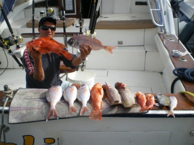 STORA FÅNGNINGAR Under de senaste dagarna blir fiskeresultatet - Cavalier & Blue Marlin Sport Fishing Gran Canaria