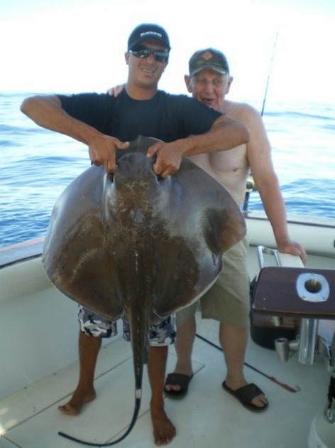 Common Stingray Cavalier & Blue Marlin Sport Fishing Gran Canaria