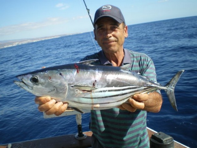 05/12 Skipjack Tuna Cavalier & Blue Marlin Sport Fishing Gran Canaria