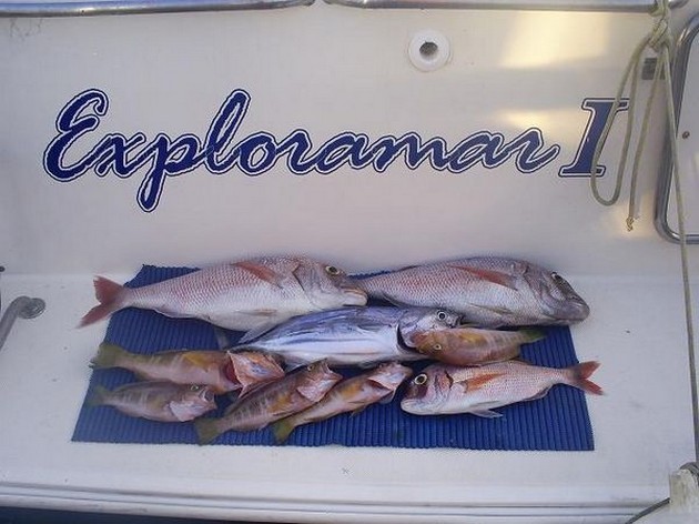 GROTE  SNAPPERS<br><br>Er werden gedurende de laatste dagen - Cavalier & Blue Marlin Sport Fishing Gran Canaria