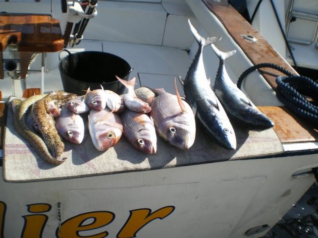 STORA FÅNGNINGAR Det var fiskarna på båten Cavalier - Cavalier & Blue Marlin Sport Fishing Gran Canaria