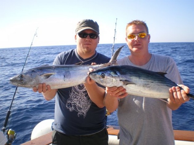 Atlantic Bonitos Cavalier & Blue Marlin Sport Fishing Gran Canaria
