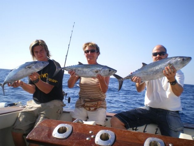 Atlantic Bonitos Cavalier & Blue Marlin Sport Fishing Gran Canaria