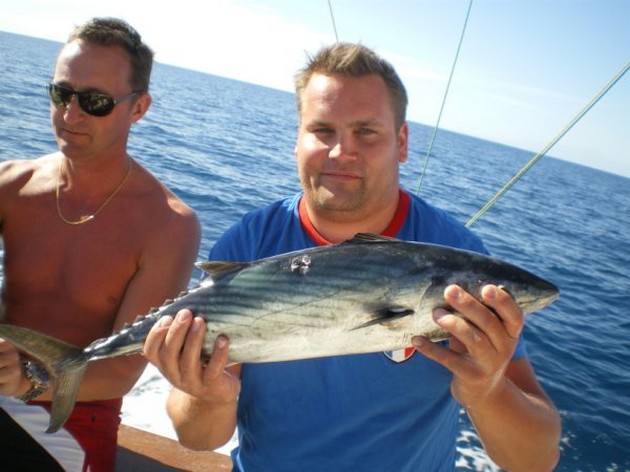 Atlantic Bonito Cavalier & Blue Marlin Sport Fishing Gran Canaria