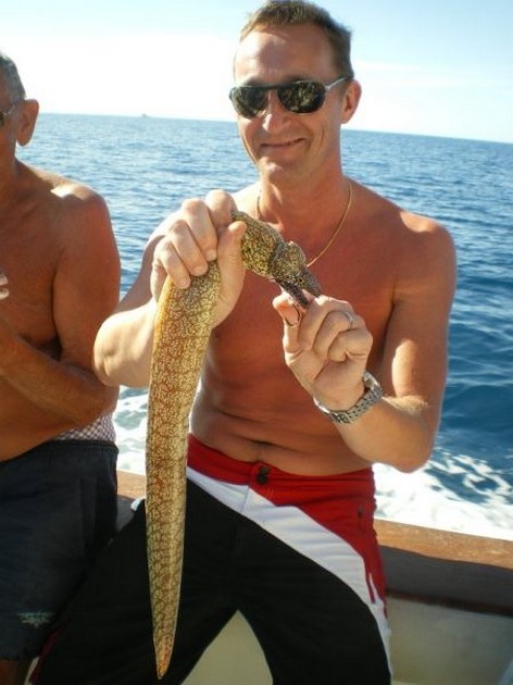 Tiger Moray Cavalier & Blue Marlin Sport Fishing Gran Canaria