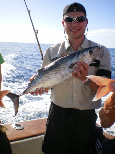 Atlantic Bonito Cavalier & Blue Marlin Sport Fishing Gran Canaria