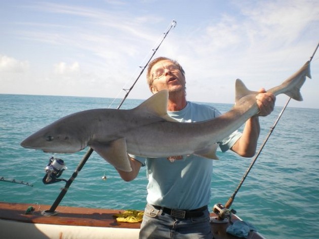 27/12 Tope Cavalier & Blue Marlin Sport Fishing Gran Canaria