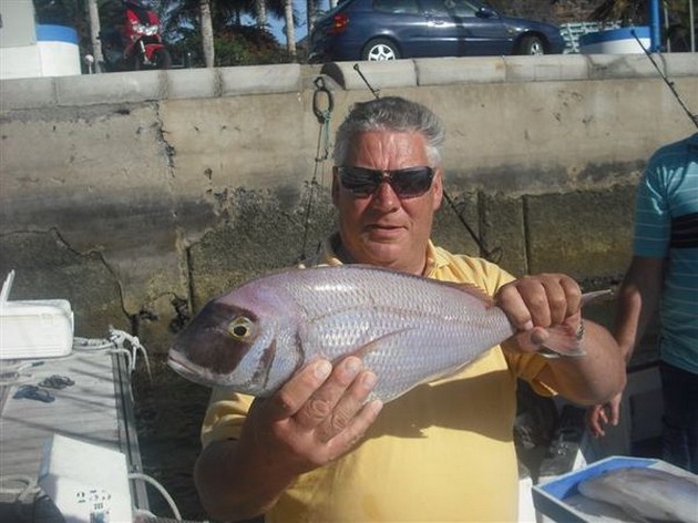 28 PONDS DORADO<br><br>Het was gisteren de Hollandse sportvisser - Cavalier & Blue Marlin Sport Fishing Gran Canaria