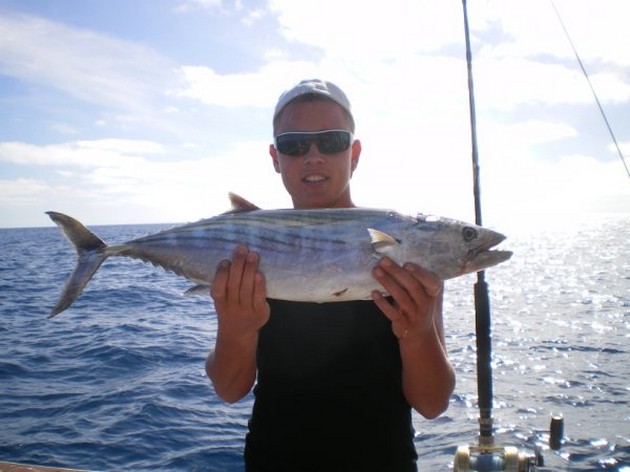Atlantic Bonito Cavalier & Blue Marlin Sport Fishing Gran Canaria
