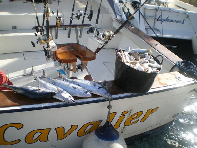 NORTH ATLANTIC BONITO`S<br><br>It was the crew of the Cavalier - Cavalier & Blue Marlin Sport Fishing Gran Canaria