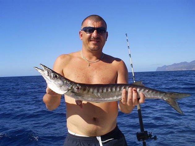 Baracuda Cavalier & Blue Marlin Sport Fishing Gran Canaria