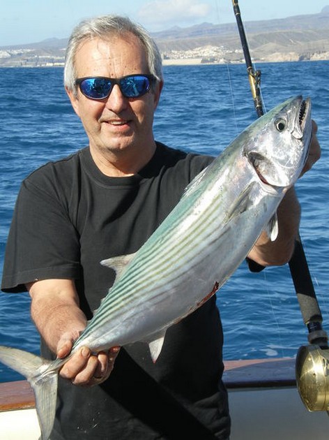 Atlantic Bonito Cavalier & Blue Marlin Sport Fishing Gran Canaria