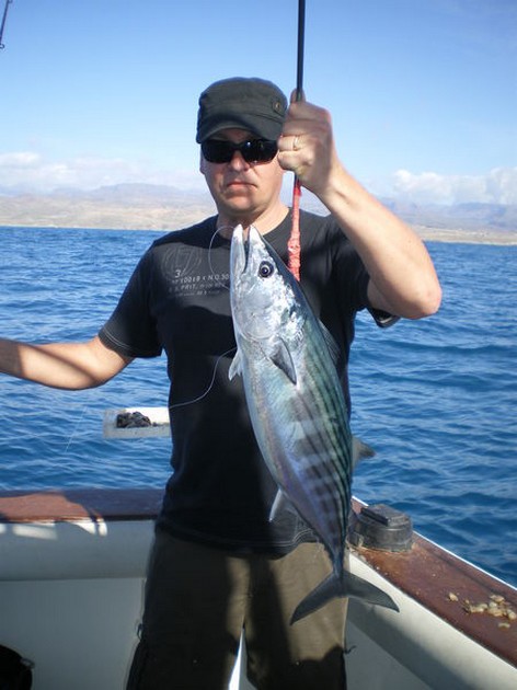 Atlantic Bonito Cavalier & Blue Marlin Sport Fishing Gran Canaria