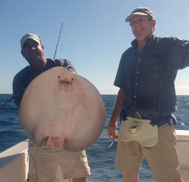 Round Stingray Cavalier & Blue Marlin Sport Fishing Gran Canaria