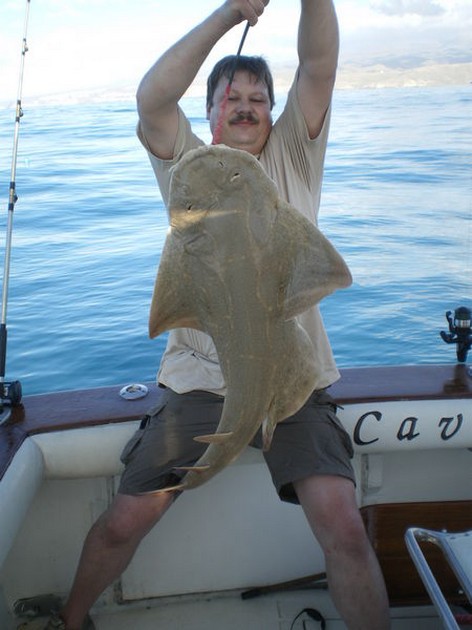 Angel shark Cavalier & Blue Marlin Sport Fishing Gran Canaria