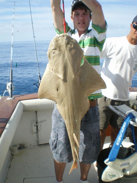 12/01 Angel shark Cavalier & Blue Marlin Sport Fishing Gran Canaria