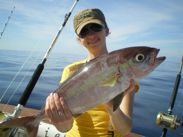 13/01 Amberjack Cavalier & Blue Marlin Sport Fishing Gran Canaria