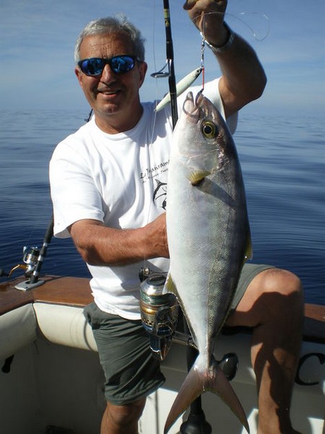 Amberjack Cavalier & Blue Marlin Sport Fishing Gran Canaria