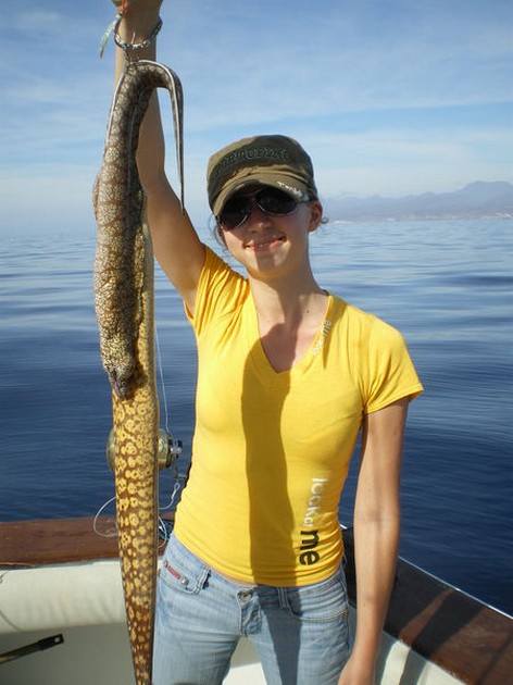 Moray Eels Cavalier & Blue Marlin Sport Fishing Gran Canaria