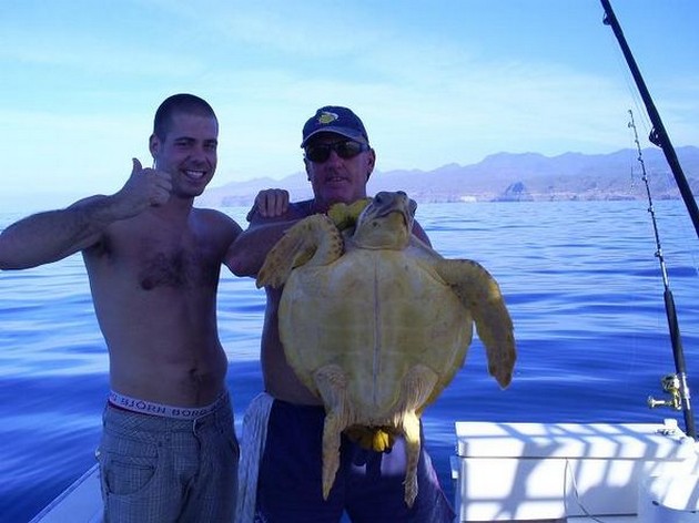 Turtle Cavalier & Blue Marlin Sport Fishing Gran Canaria