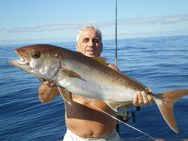 Amberjack Cavalier & Blue Marlin Sport Fishing Gran Canaria