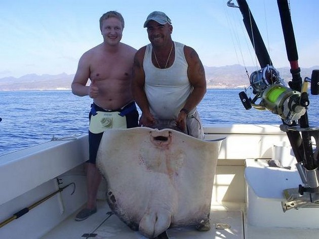 Common Stingray Cavalier & Blue Marlin Sport Fishing Gran Canaria