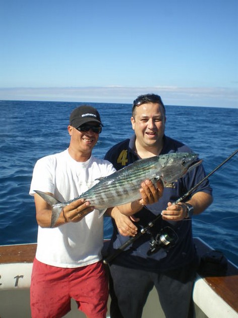 Atlantic Bonito Cavalier & Blue Marlin Sport Fishing Gran Canaria